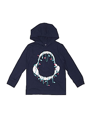 Gymboree Pullover Hoodie (view 1)