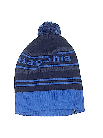 Patagonia Beanie (view 1)