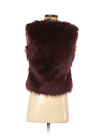 Express Faux Fur Vest (view 2)