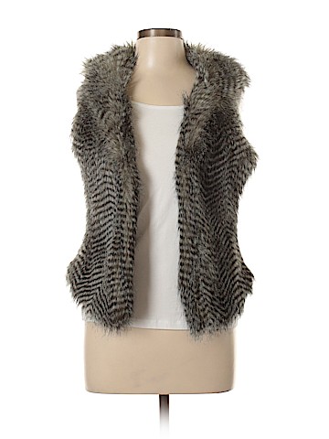 Francesca's Faux Fur Vest (view 1)