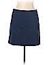 Banana Republic Blue Casual Skirt Size 10 (petite) - photo 1