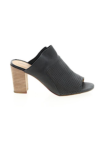 Adam Tucker Mule/Clog (view 1)