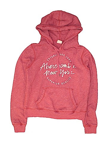 Abercrombie & Fitch Pullover Hoodie (view 1)