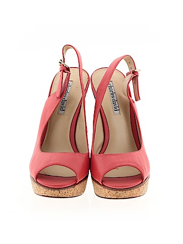 Charles David Wedges (view 2)