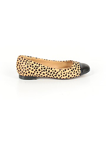 Trotters Flats (view 1)