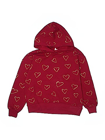 Zara Pullover Hoodie (view 1)