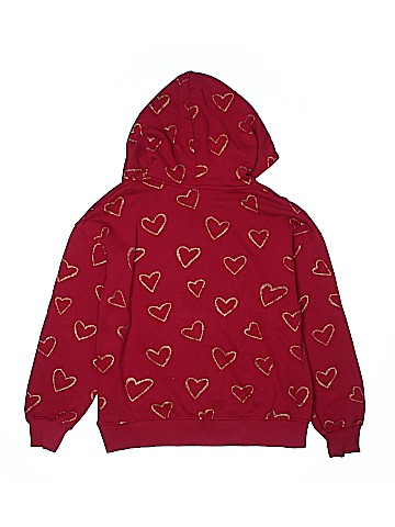 Zara Pullover Hoodie (view 2)