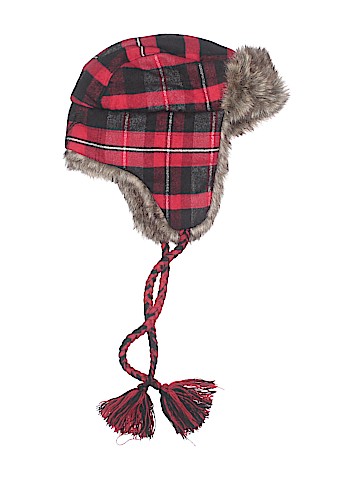 American Eagle Outfitters Winter Hat (view 1)
