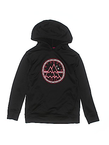 Patagonia Pullover Hoodie (view 1)