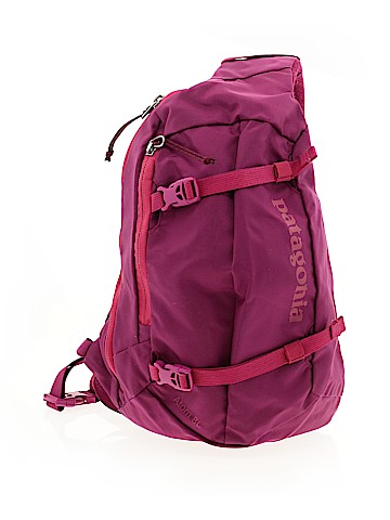 Patagonia Backpack (view 1)