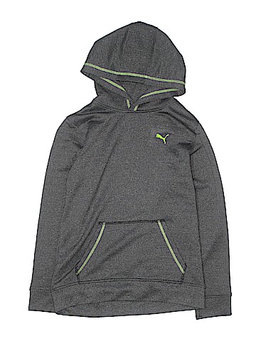 Puma Pullover Hoodie (view 1)