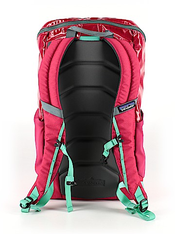 Patagonia Backpack (view 2)