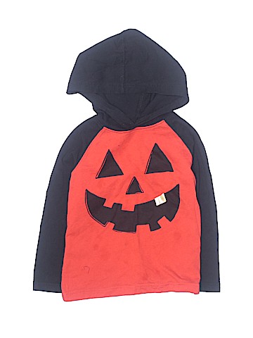 Gymboree Pullover Hoodie (view 1)