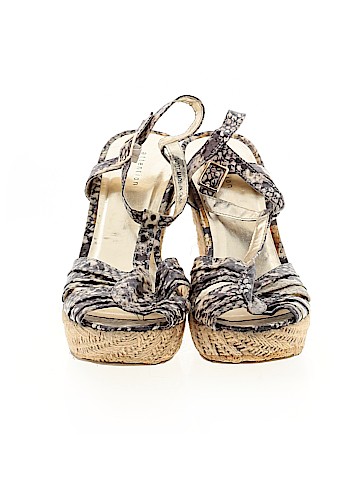 Attention Wedges (view 2)