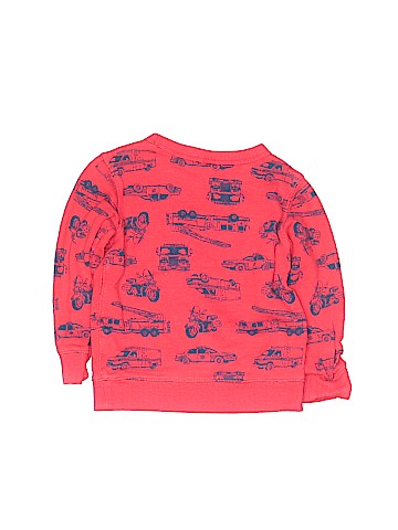 Carter's Sweatshirt (view 2)