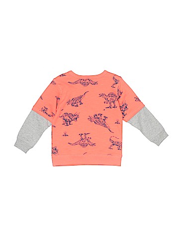 Carter's Sweatshirt (view 2)