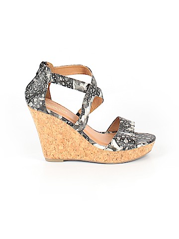 Sociology Wedges (view 1)