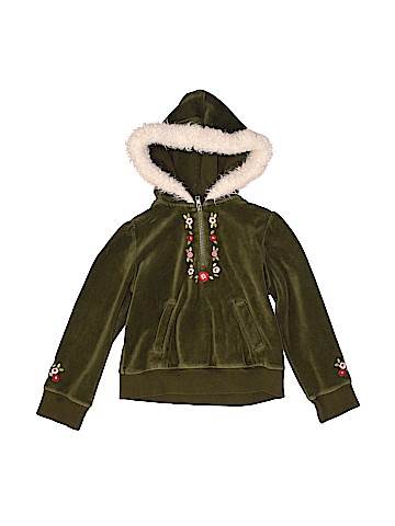 Gymboree Pullover Hoodie (view 1)