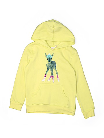 Circo Pullover Hoodie (view 1)