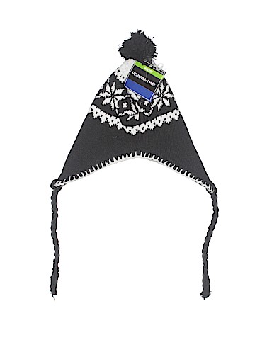 Peruvian Highlands Winter Hat (view 1)