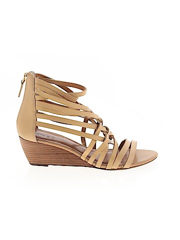 Hinge Wedges (view 1)