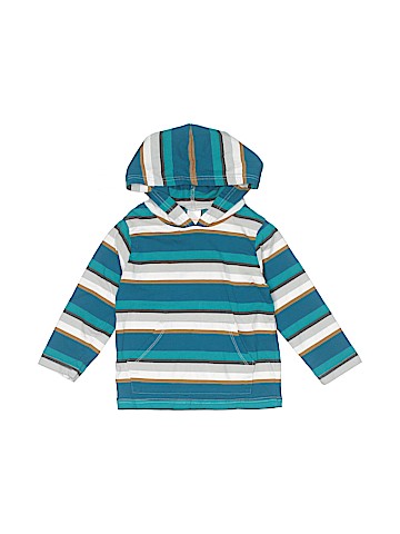 Gymboree Pullover Hoodie (view 1)