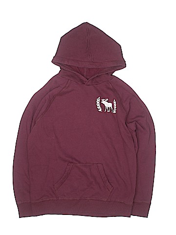 Abercrombie Pullover Hoodie (view 1)