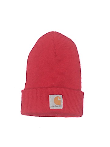 Carhartt Beanie (view 1)
