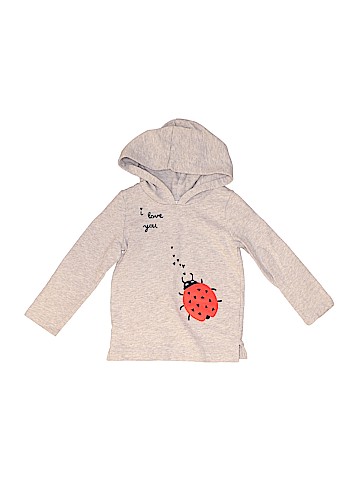 Carter's Pullover Hoodie (view 1)