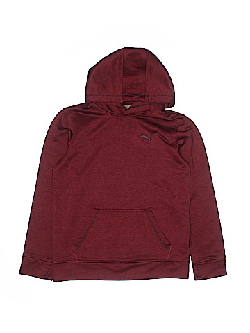 Puma Pullover Hoodie (view 1)