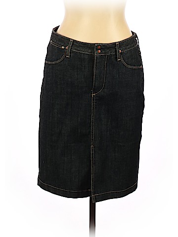 Adriano Goldschmied Denim Skirt (view 1)