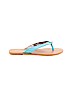 Talbots Outlet Blue Flip Flops Size 8 - photo 1