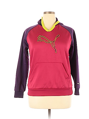 Puma Pullover Hoodie (view 1)