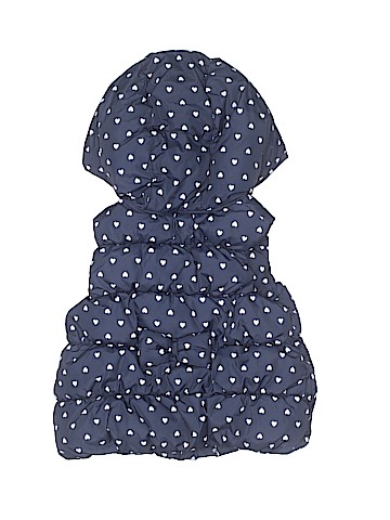 Gymboree Vest (view 2)