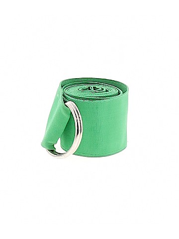 Unbranded Belt (view 1)