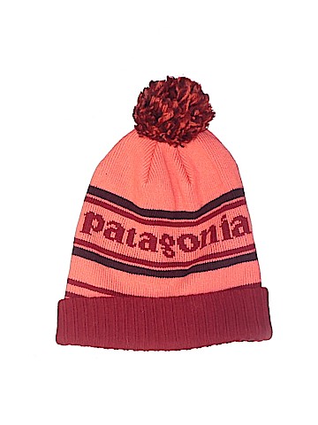 Patagonia Beanie (view 1)