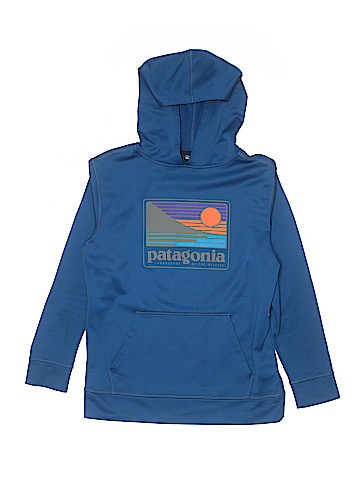 Patagonia Pullover Hoodie (view 1)