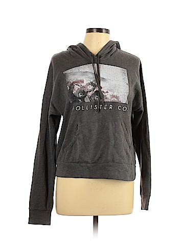 Hollister Pullover Hoodie (view 1)