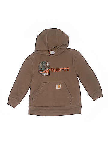 Carhartt Pullover Hoodie (view 1)