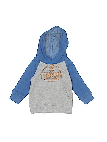 Timberland Pullover Hoodie (view 1)