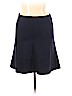 Ann Taylor LOFT Blue Casual Skirt Size L (petite) - photo 1