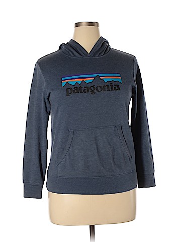 Patagonia Pullover Hoodie (view 1)