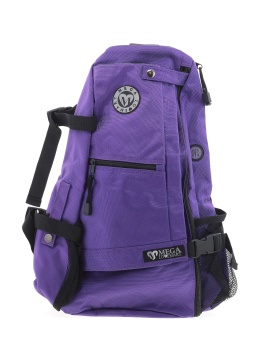 Assorted Brands Backpack