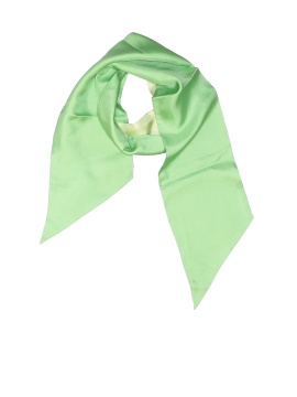 Banana Republic Factory Store Silk Scarf