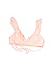 Aerie Size Lg