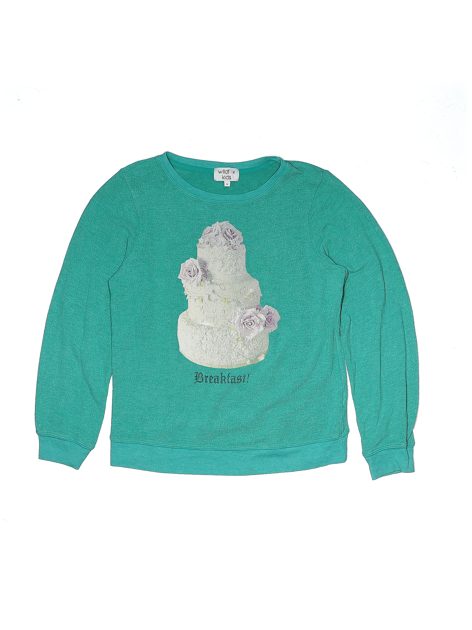 Wildfox teddy outlet bear sweater