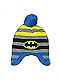 Batman Winter Hat