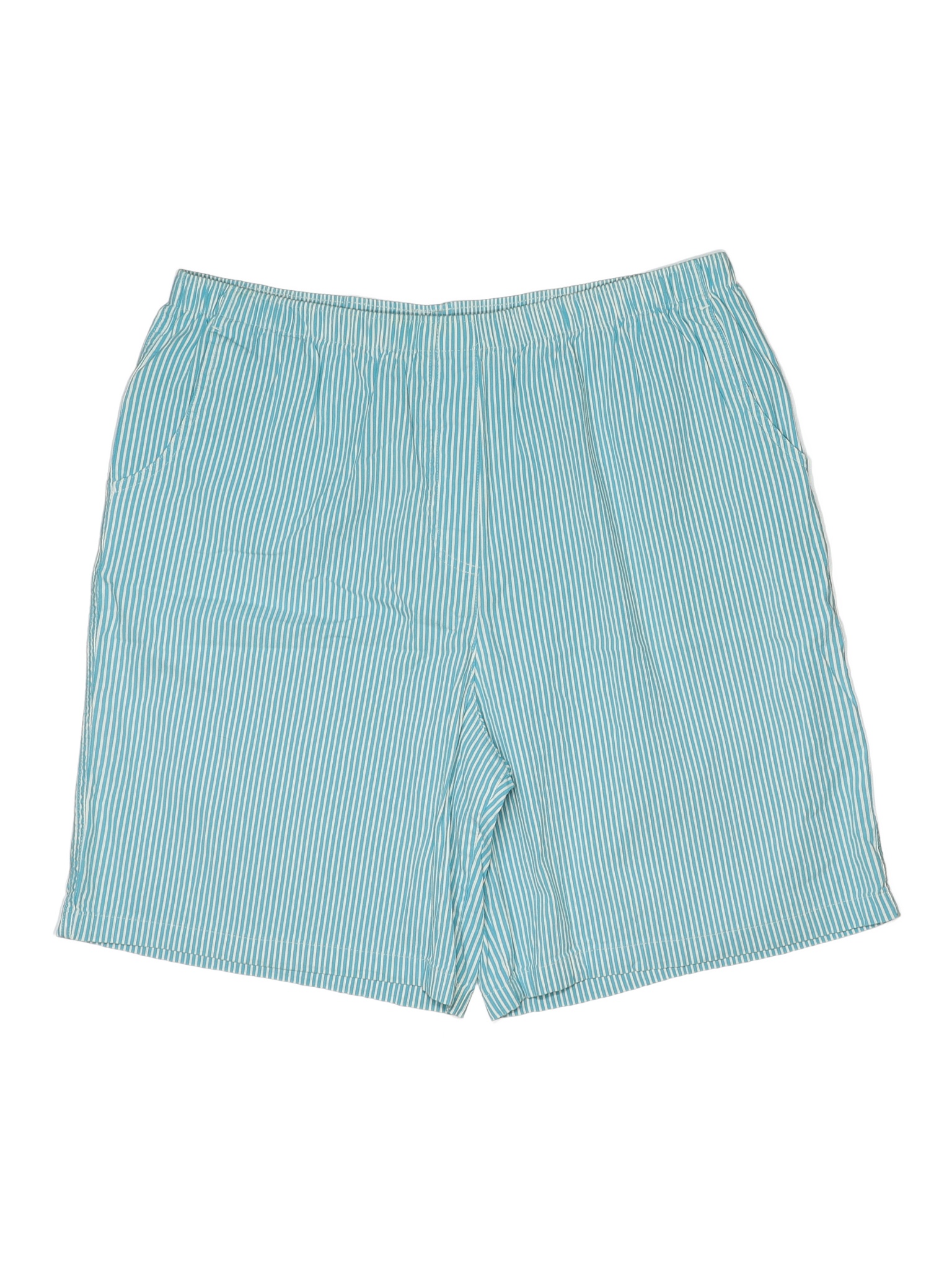 Allison Daley Blue Shorts Size 18 (Plus) - 42% off | ThredUp