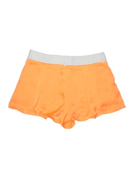 Helmut Lang Shorts (view 2)