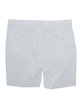 Theory Shorts (view 2)